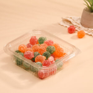 250CC HINGED CONTAINER