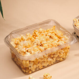 1000CC HINGED CONTAINER(HI -LID)