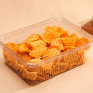 2000CC HINGED CONTAINER