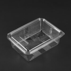 2000CC HINGED CONTAINER