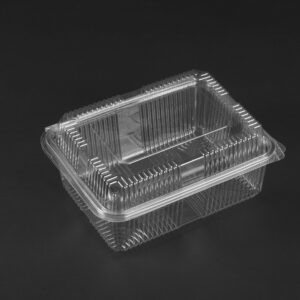 2000CC HINGED CONTAINER(HI  LID)