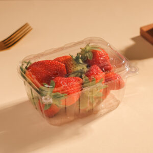 250GM PUNNET(128*94*75)