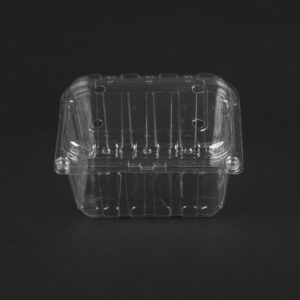 250GM PUNNET(128*94*75)