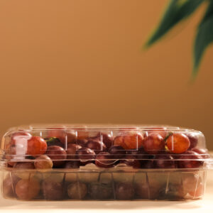 KIWI PUNNET(SQUARE) -117*117*60
