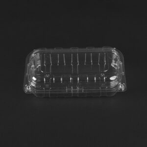 BLUEBERRY(195*113*67)